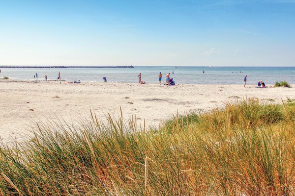 Una playa cerca