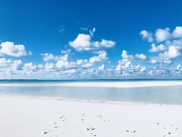 Playa en los alrededores, camastros y toallas de playa 