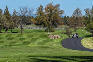 A golf course with a winding path, trees, and a golf cart.