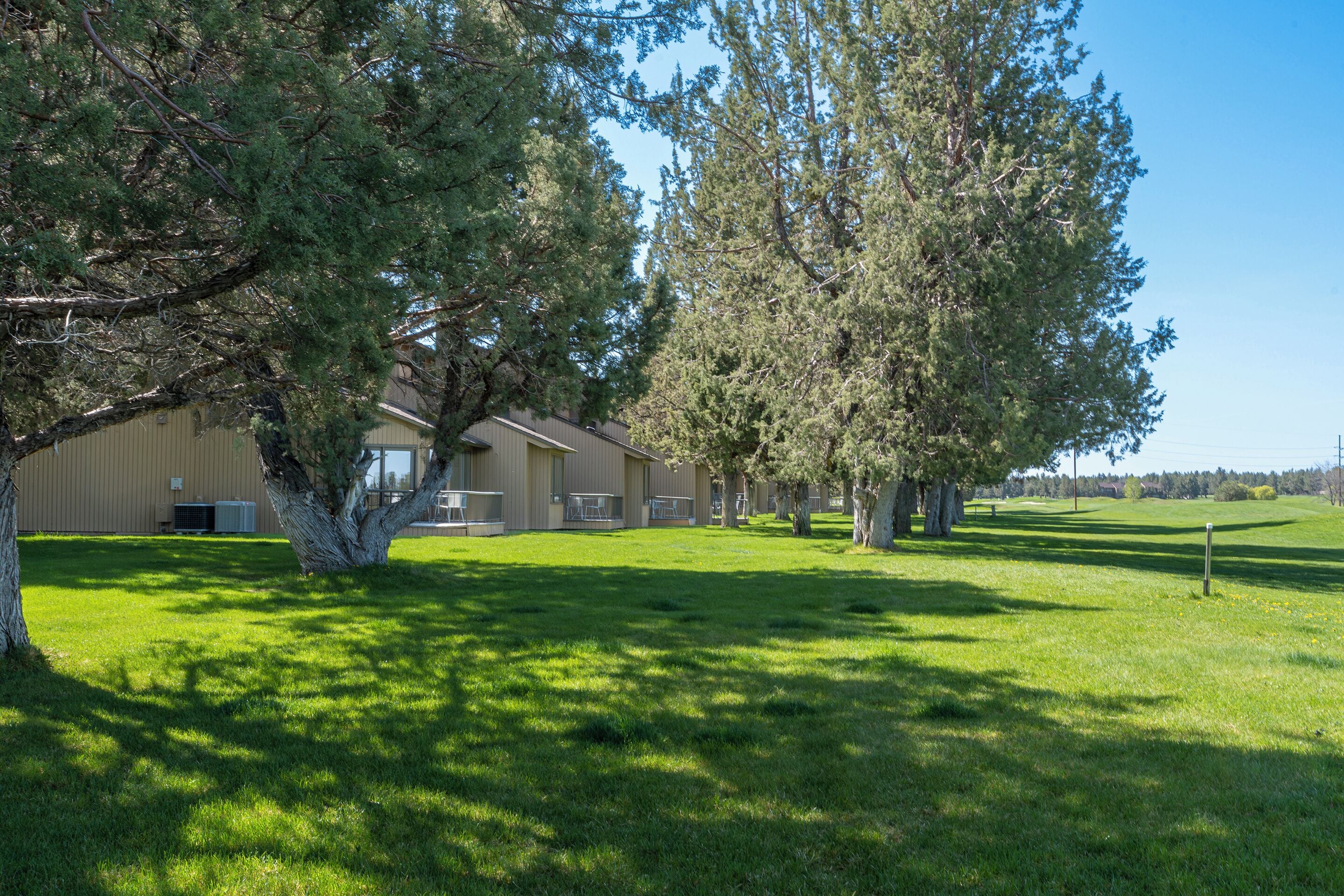 A building with a large lawn and trees in front.