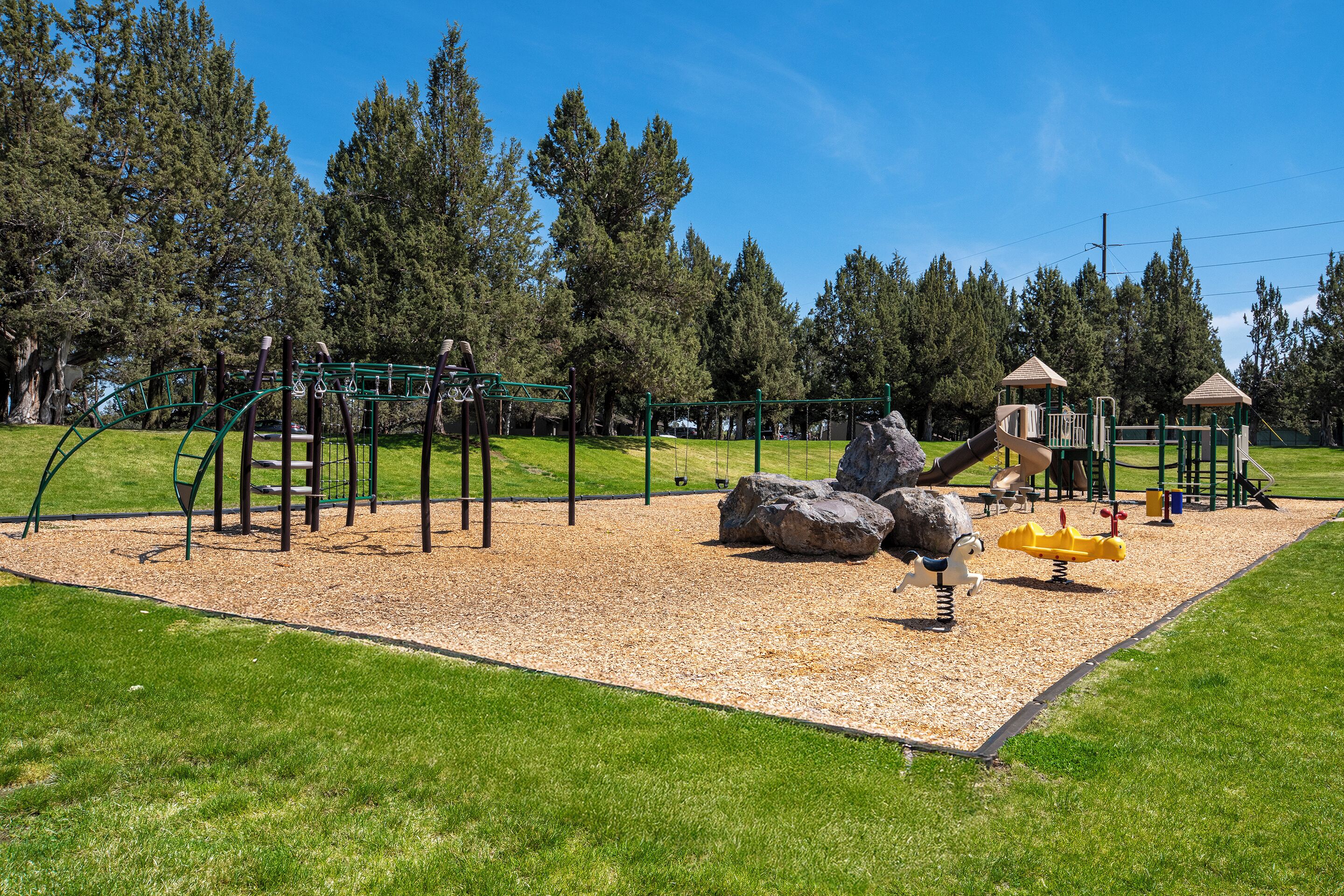 A playground with climbing structures, slides, and swings, surrounded by trees.