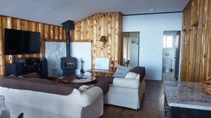 Fernseher, Kamin, DVD-Player