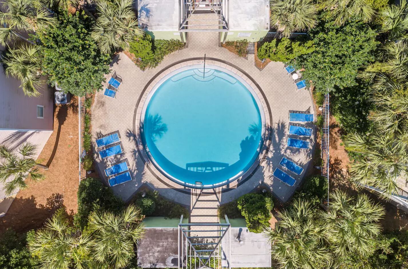 Vista aérea de una piscina circular rodeada de palmeras y sillas de descanso.