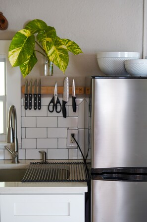 A kitchen with a stainless steel refrigerator, a sink, and a plant with large leaves. - Charming farmhouse suite near Dunedin (Clearwater)