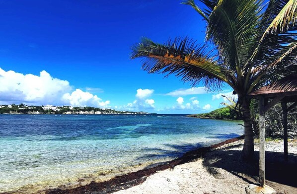 كراسي للتشمس