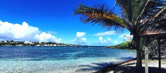 Sun and coconut villa