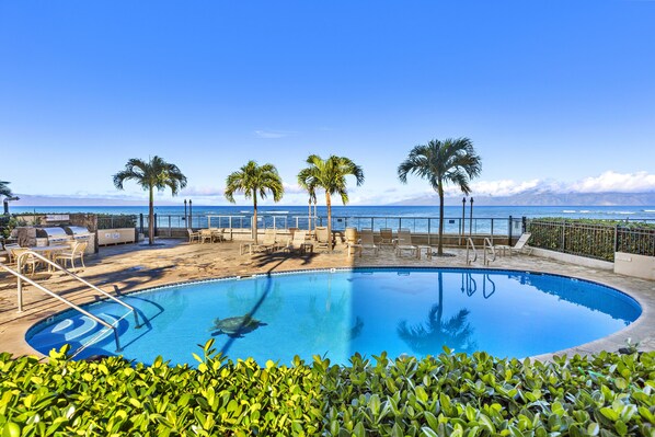A heated pool - Heavenly oceanfront 2bd condo in West Maui (Lahaina)