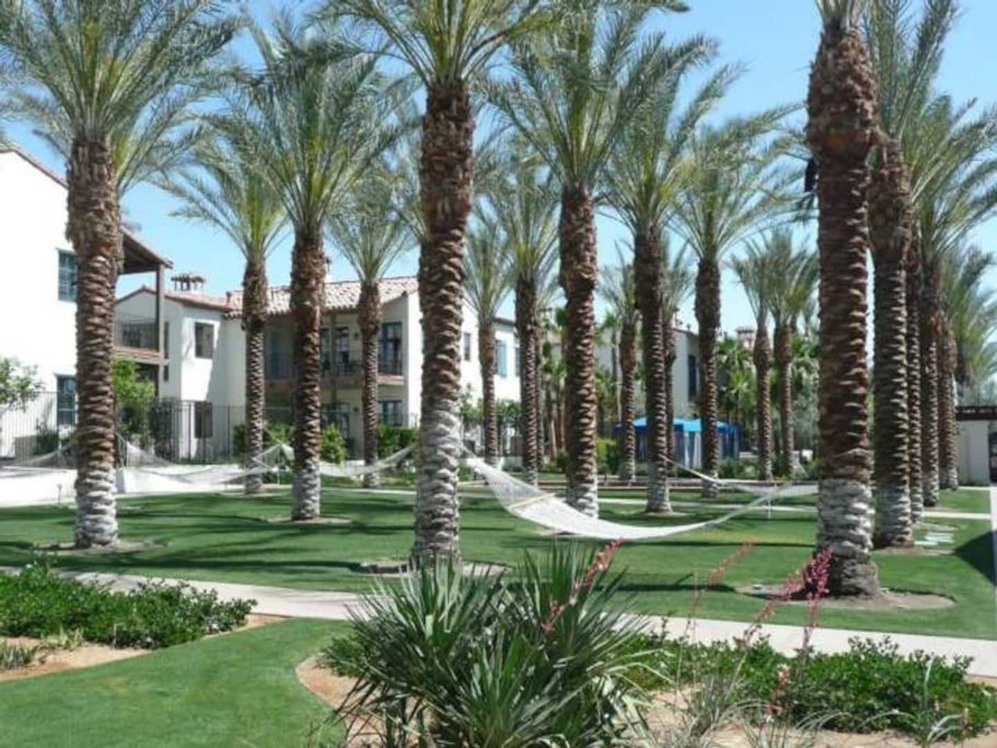 A courtyard with palm trees, a hammock, and a building with balconies.