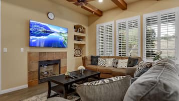 Smart TV, fireplace, books