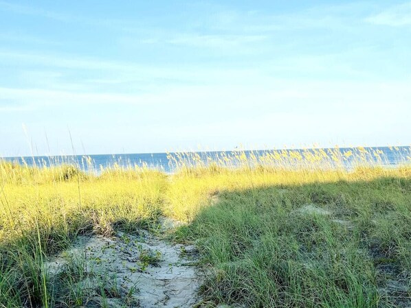 Plage à proximité, chaise longue, serviettes de plage
