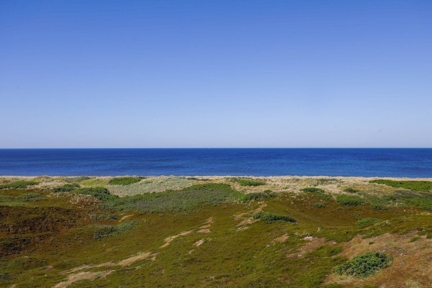 Ett kustlandskap med en klar himmel, gräsbevuxen mark och utsikt över havet.