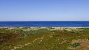 A coastal landscape with a clear sky, grassy terrain, and a view of the ocean.