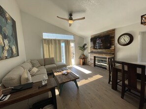 Smart TV, fireplace, books