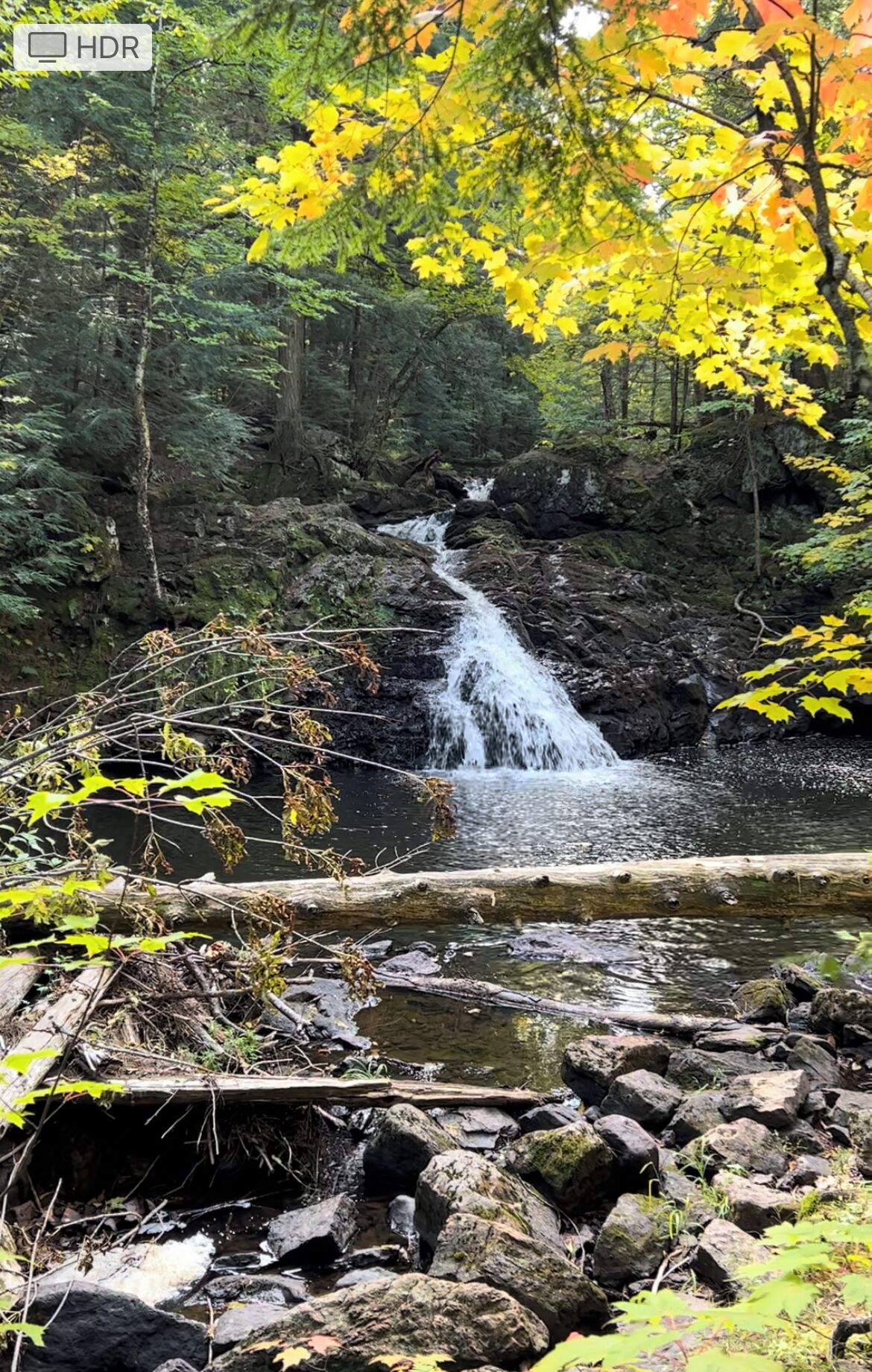 A waterfall in a forested area with rocks and foliage.