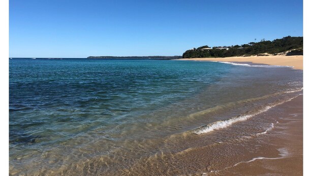 A beach with clear water, sandy shore, and a hill with buildings.