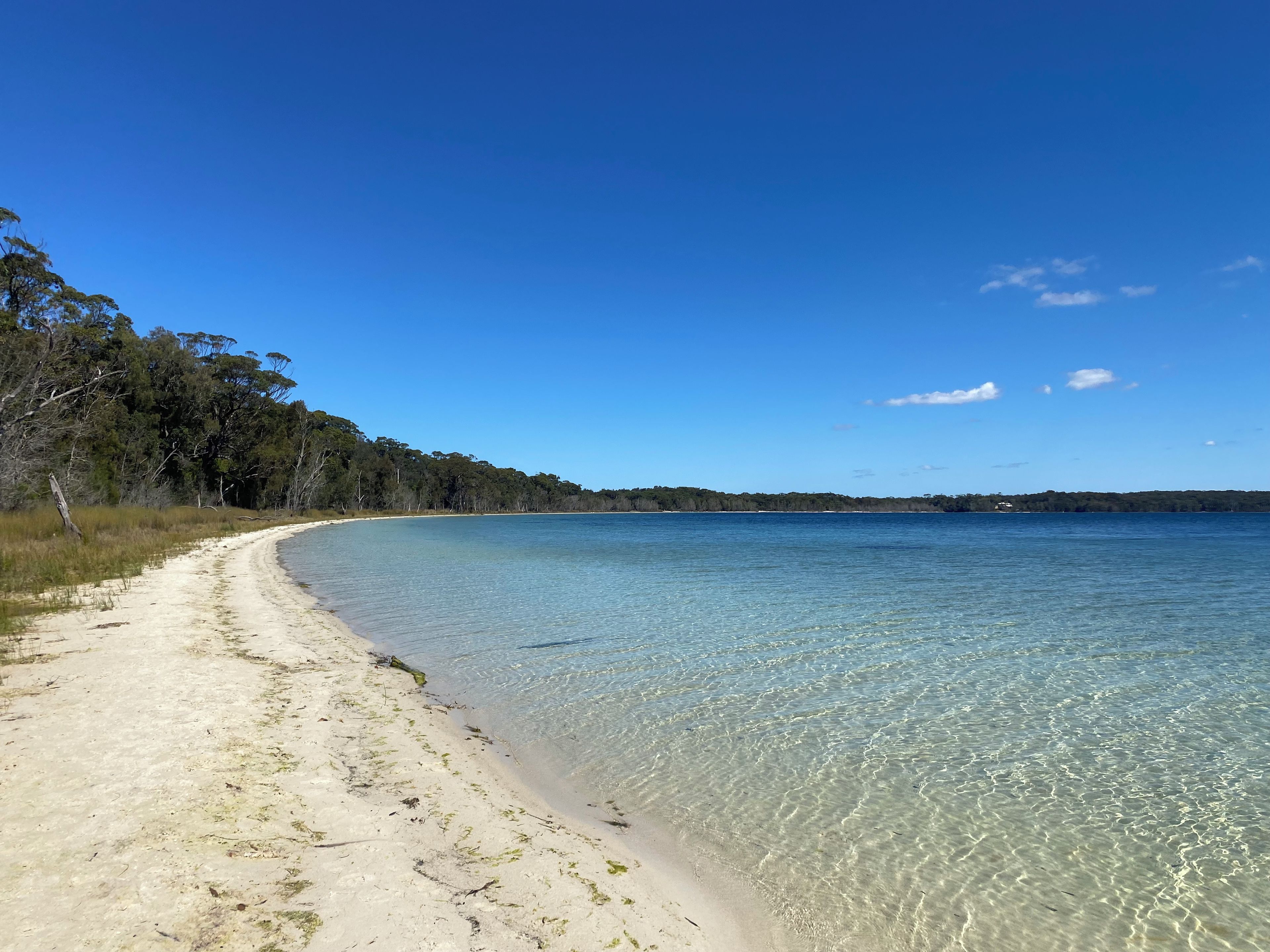 A beach with clear water, sandy shore, and trees in the background.