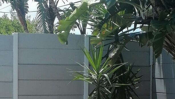 Un chemin pavé agrémenté d’un pot de fleurs, d’une statue et d’un mur orné de pierres et de plantes.