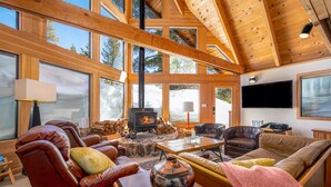 Smart TV, fireplace, books
