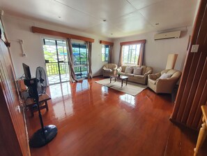 Televisión, reproductor de DVD y libros 