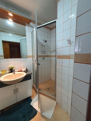 Shower, hair dryer, bidet, towels