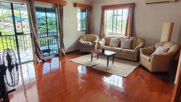 Télévision, lecteur de DVD, livres