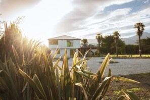 Property grounds - Magical Oceanfront Spot  (Hapuku)