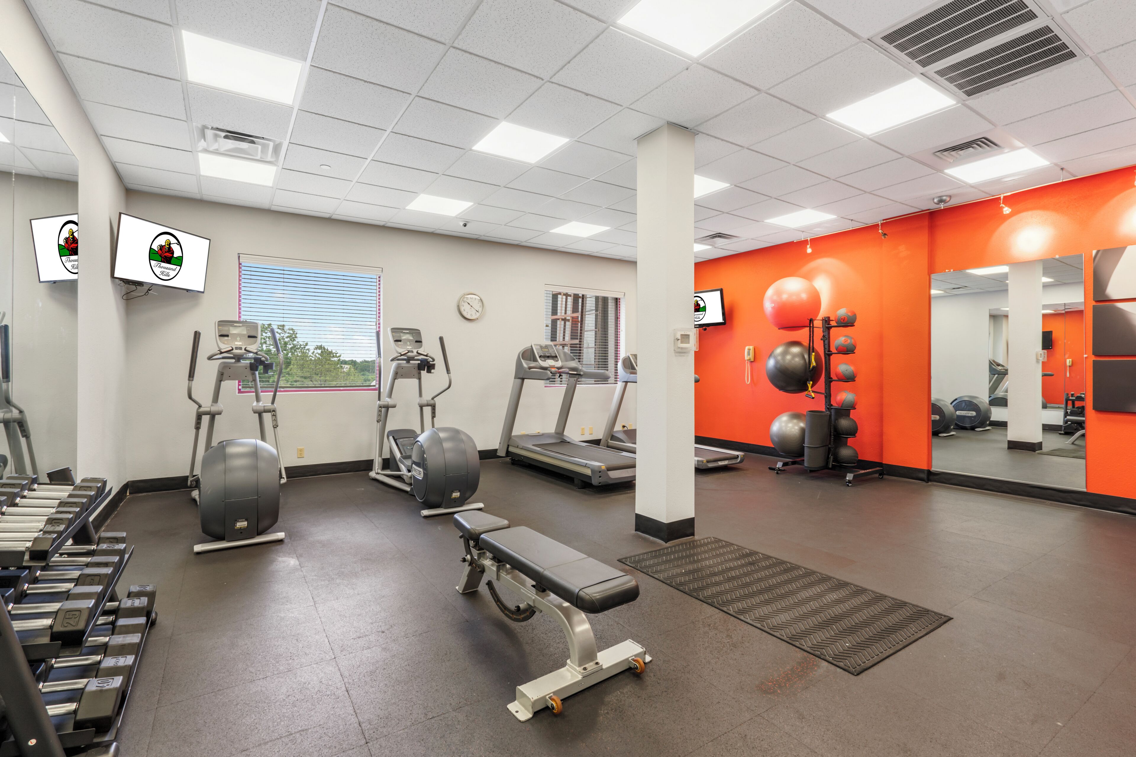 A gym with treadmills, elliptical machines, and weight benches.
