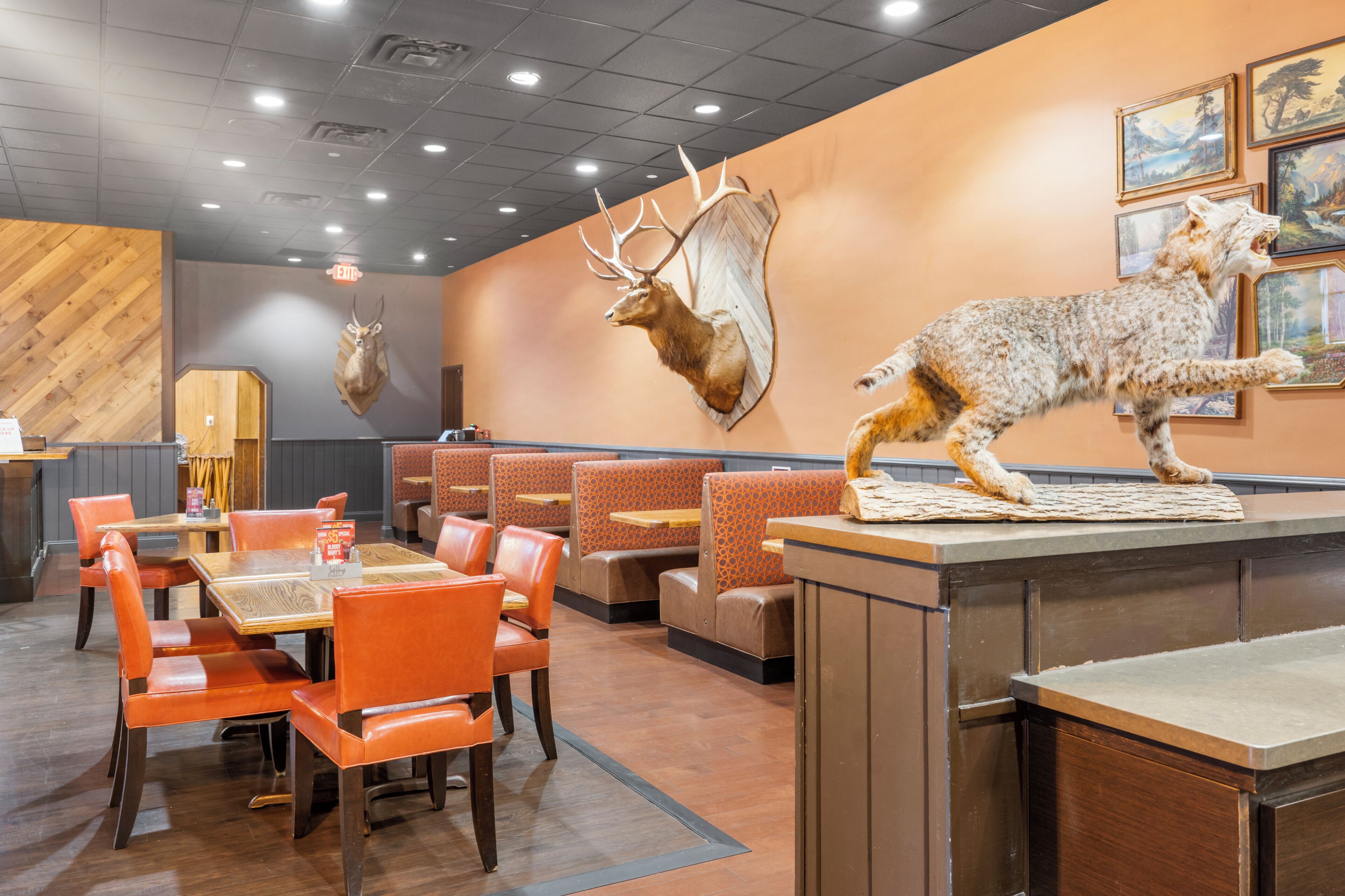 A restaurant with booths, tables, and a wall-mounted deer head.