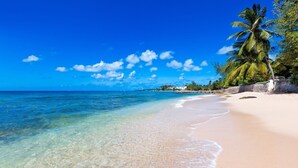 A beach with clear turquoise water, a sandy shore, and a palm tree. - Enchanting Beachfront Retreat - Leamington Cottage 1 Bedroom Villa by Blue Sky Luxury (Speightstown)