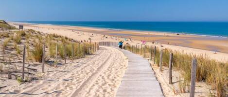 Playa en los alrededores