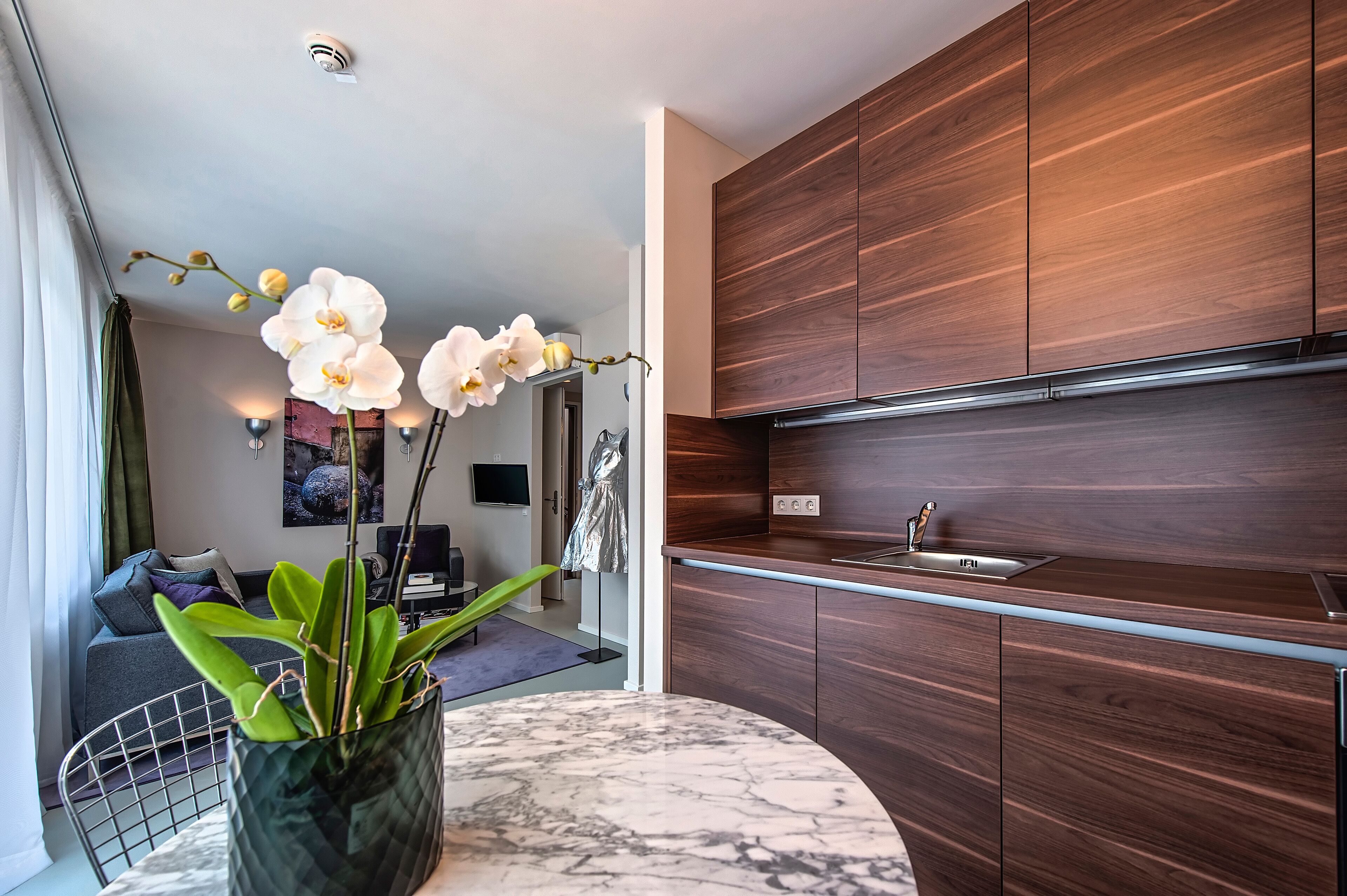 City Apartment | Private kitchen | Fridge, microwave, oven, stovetop