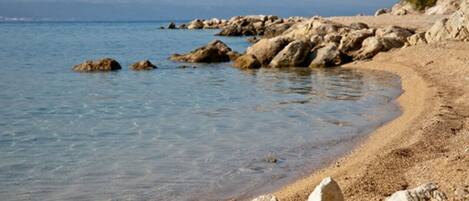 Lettini da mare