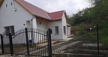 Year-round holiday home with swimming pool and whirlpool. Dogs welcome!