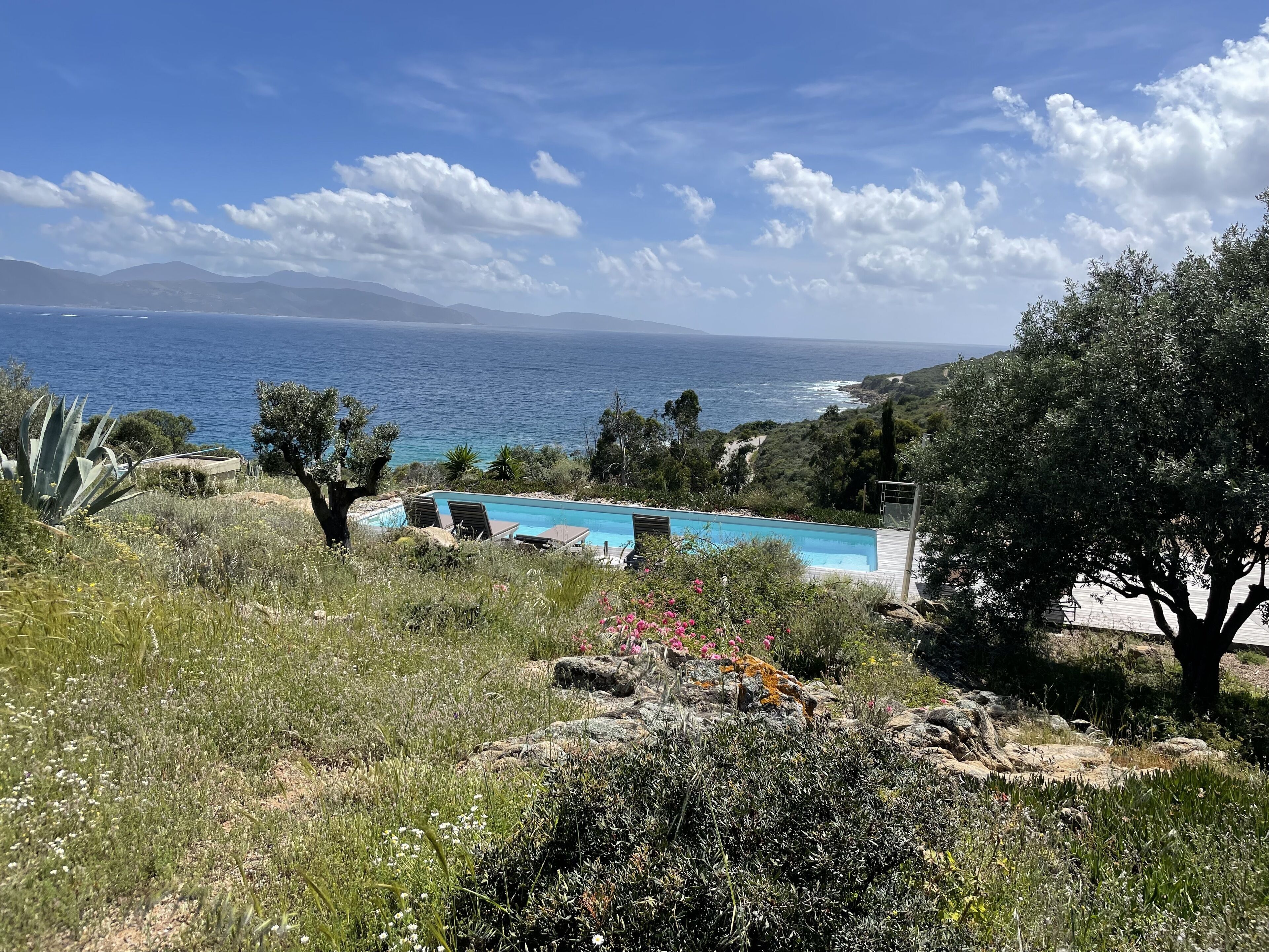 Un espace piscine offrant une vue sur la mer, entouré de verdure et de rochers.