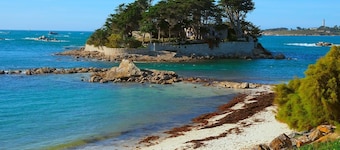 Superb apartment with sea view