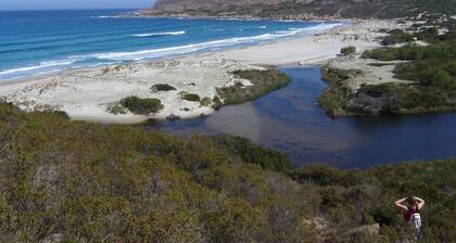 GĂTE DE QUALITĂ AVEC VUE IMPRENABLE