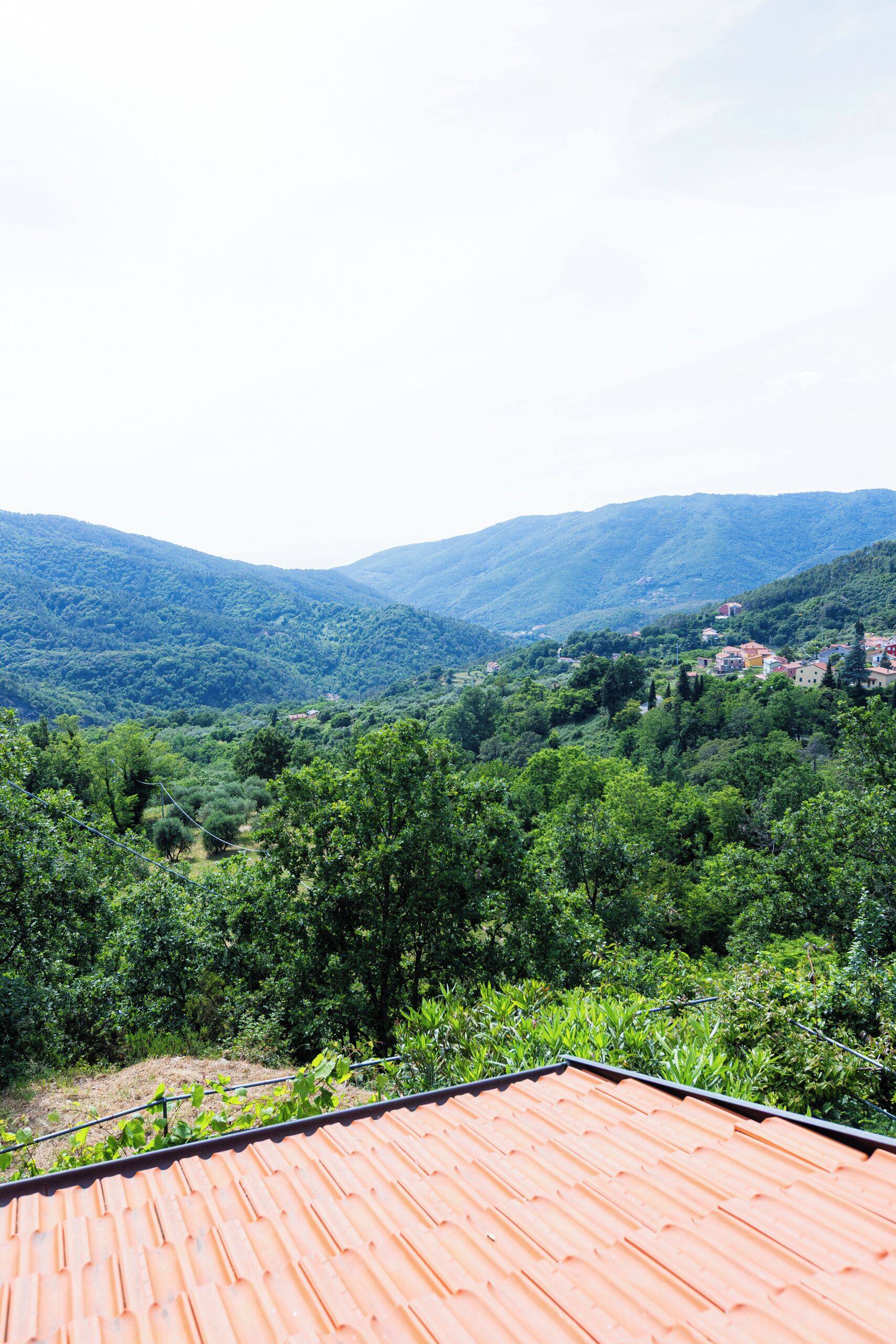 A view from a rooftop terrace with a terracotta roof, overlooking a valley with dense greenery and distant hills.