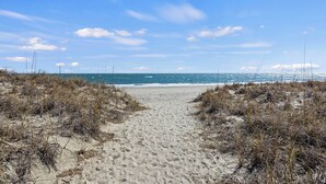Un sentier de sable qui longe la plage et mène à l’océan, avec une végétation clairsemée de part et d’autre.