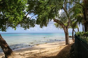 Une plage à l’eau turquoise et limpide, bordée d’un rivage sablonneux et de palmiers.