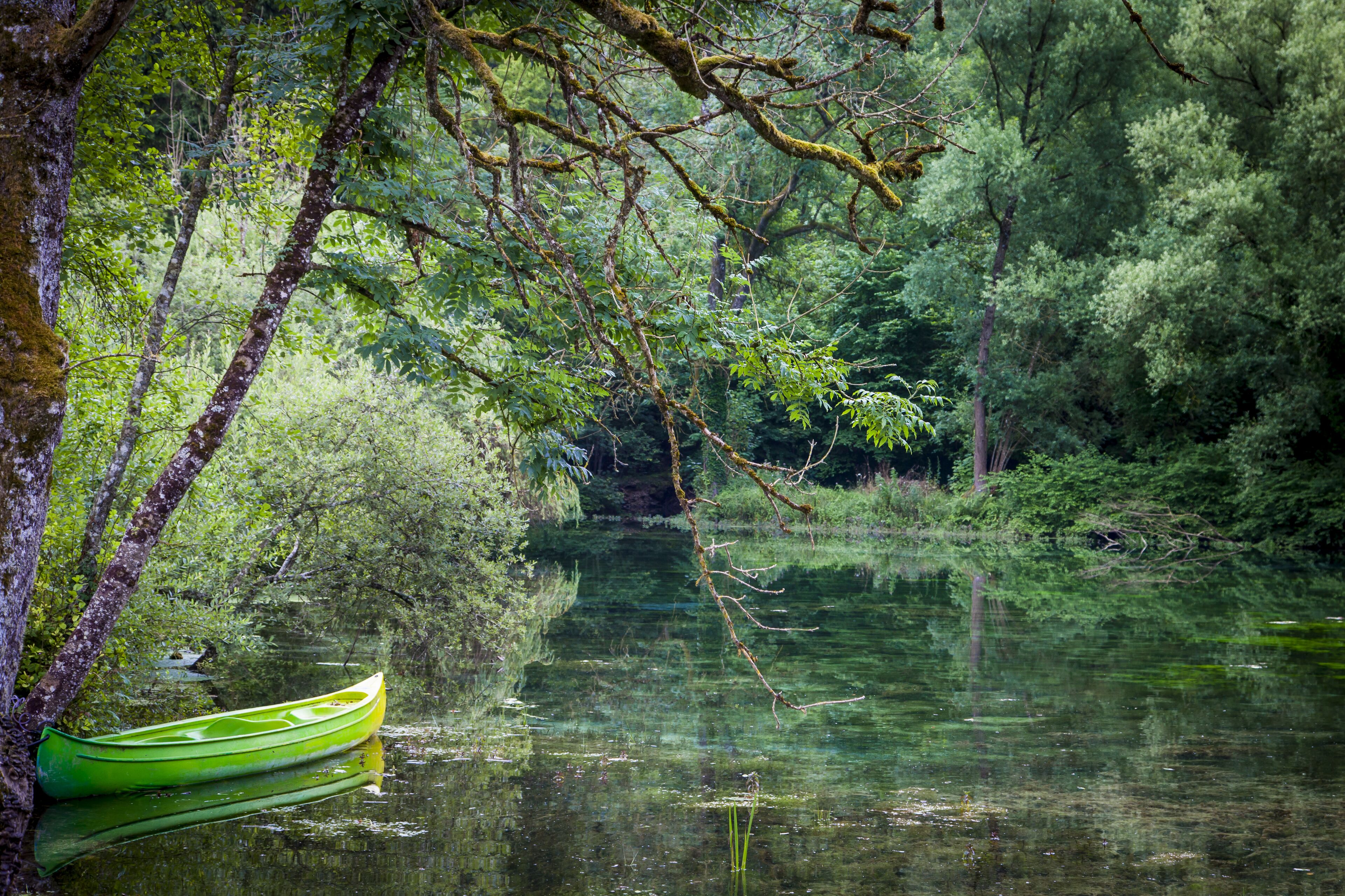 A calm river with a green canoe tied to a tree, surrounded by dense forest.