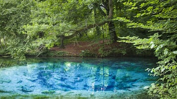 Um cenário natural com um corpo d'água azul límpido, rodeado por vegetação densa e verdejante.