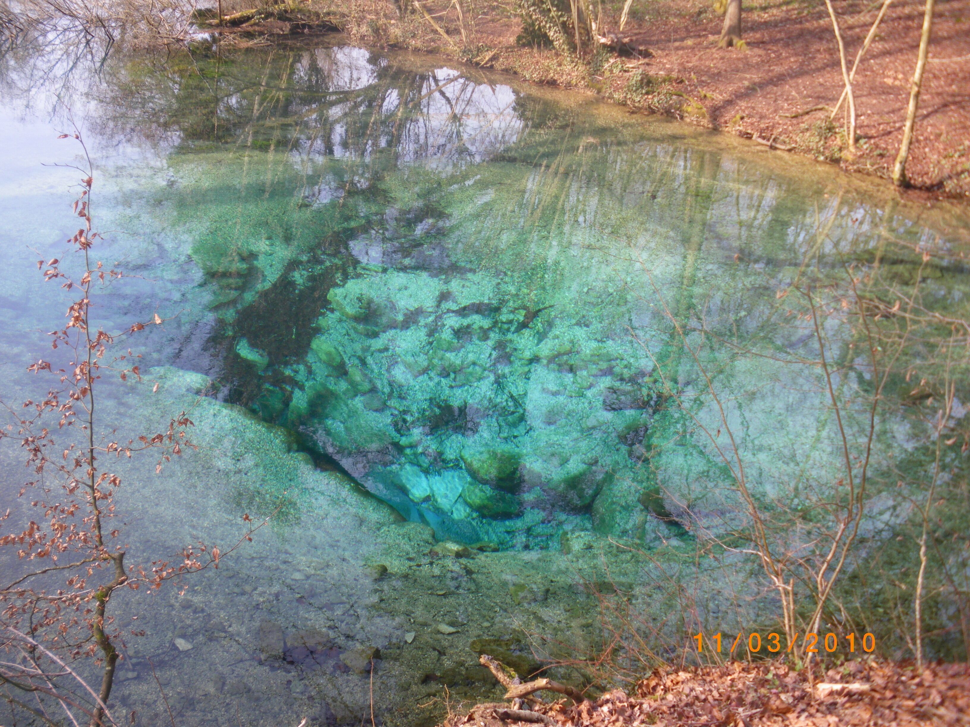 A natural pond with clear water, surrounded by trees and vegetation.