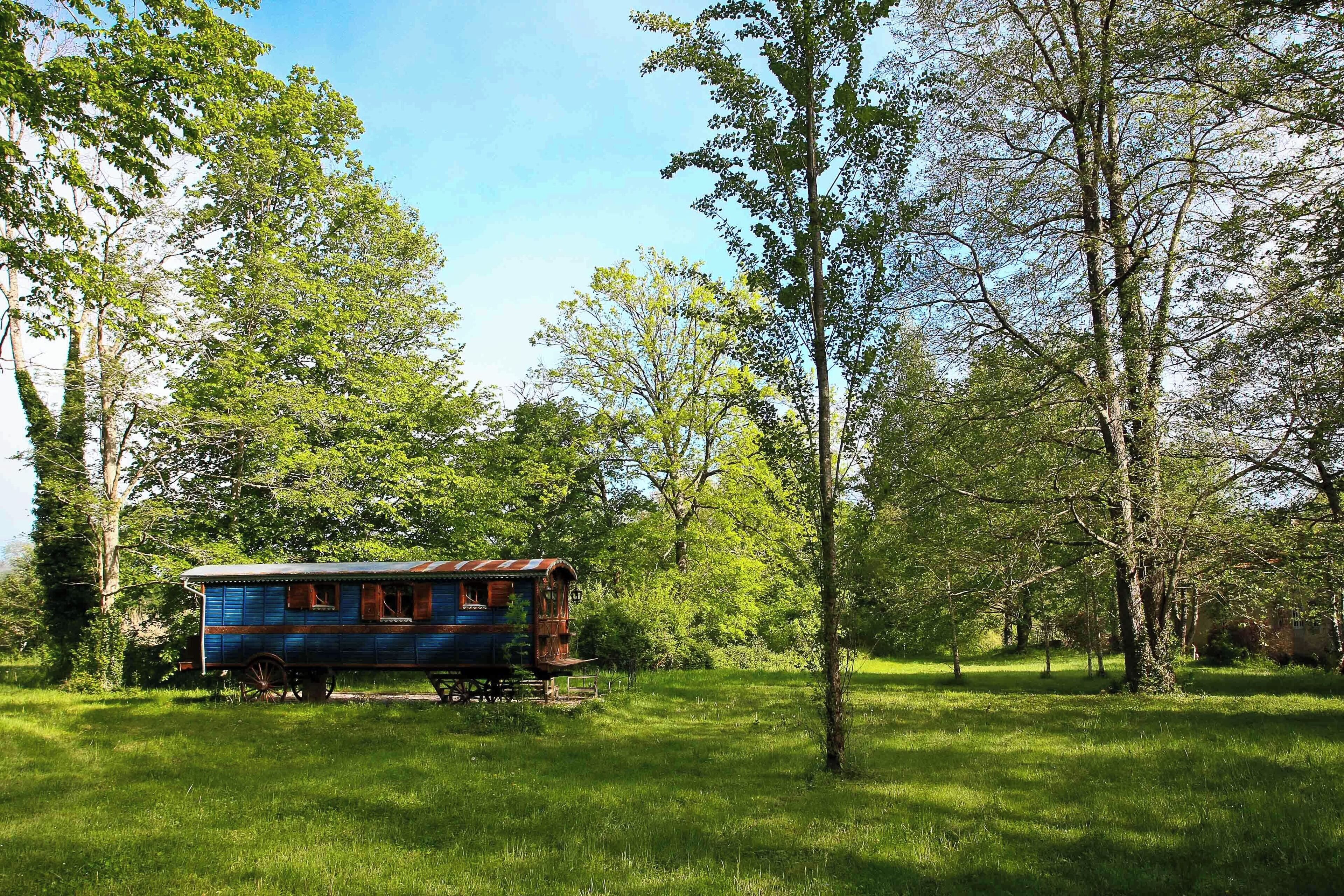 A blue vintage train car in a grassy field surrounded by trees.