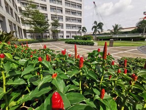 Overnattingsstedets uteområder