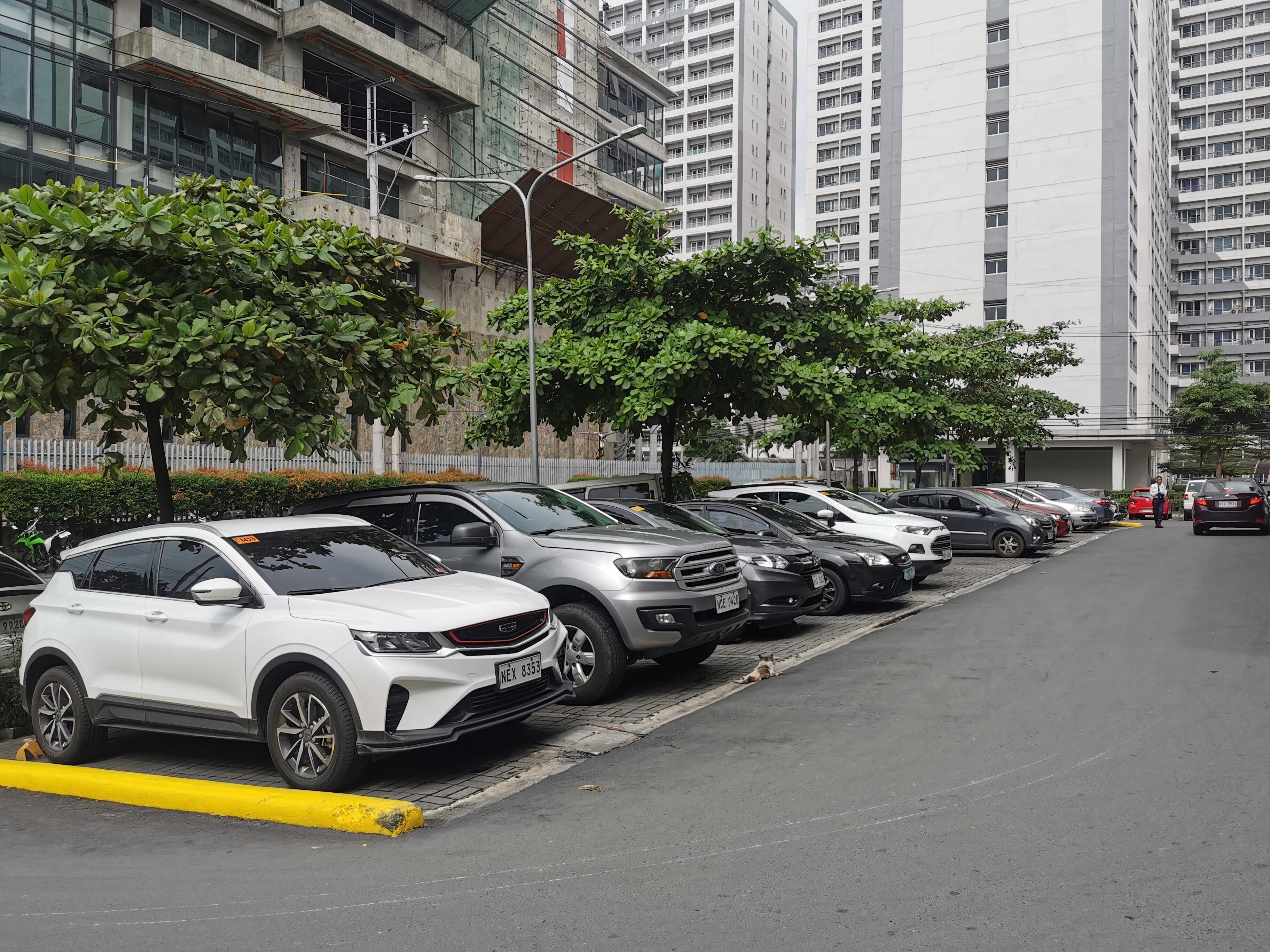 A row of parked cars along a street with tall buildings in the background.