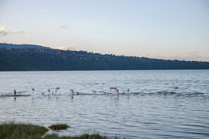 Children's activities