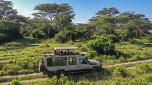 Children's activities