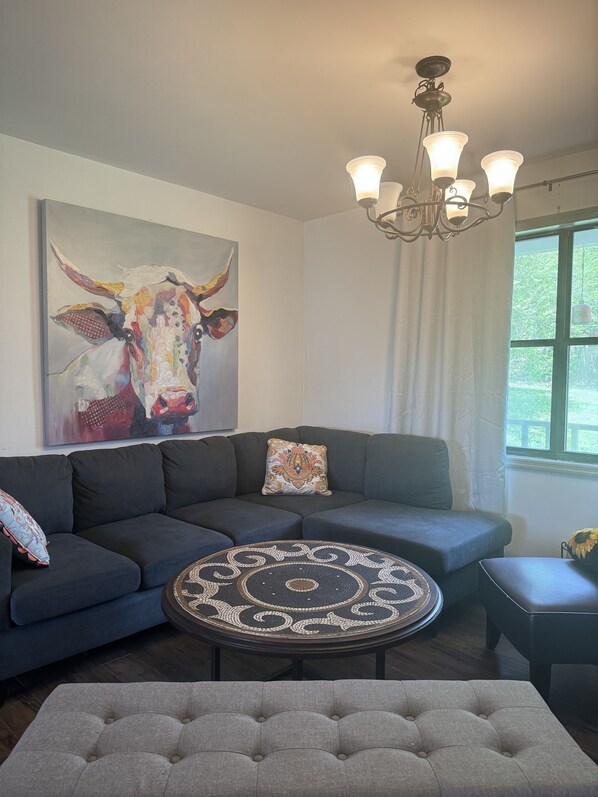 Smart TV, fireplace, music library