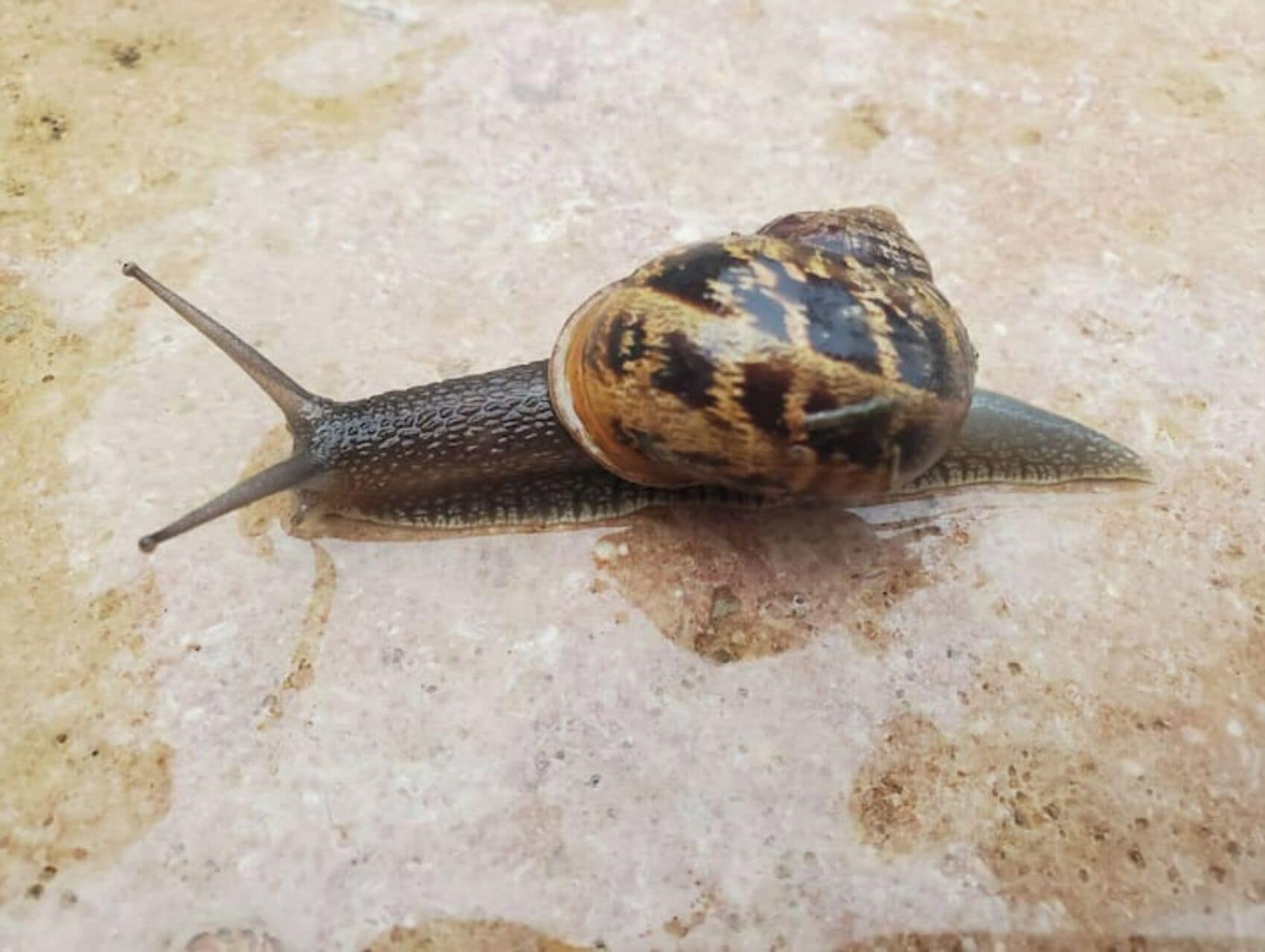 تفاصيل الفندق من الداخل