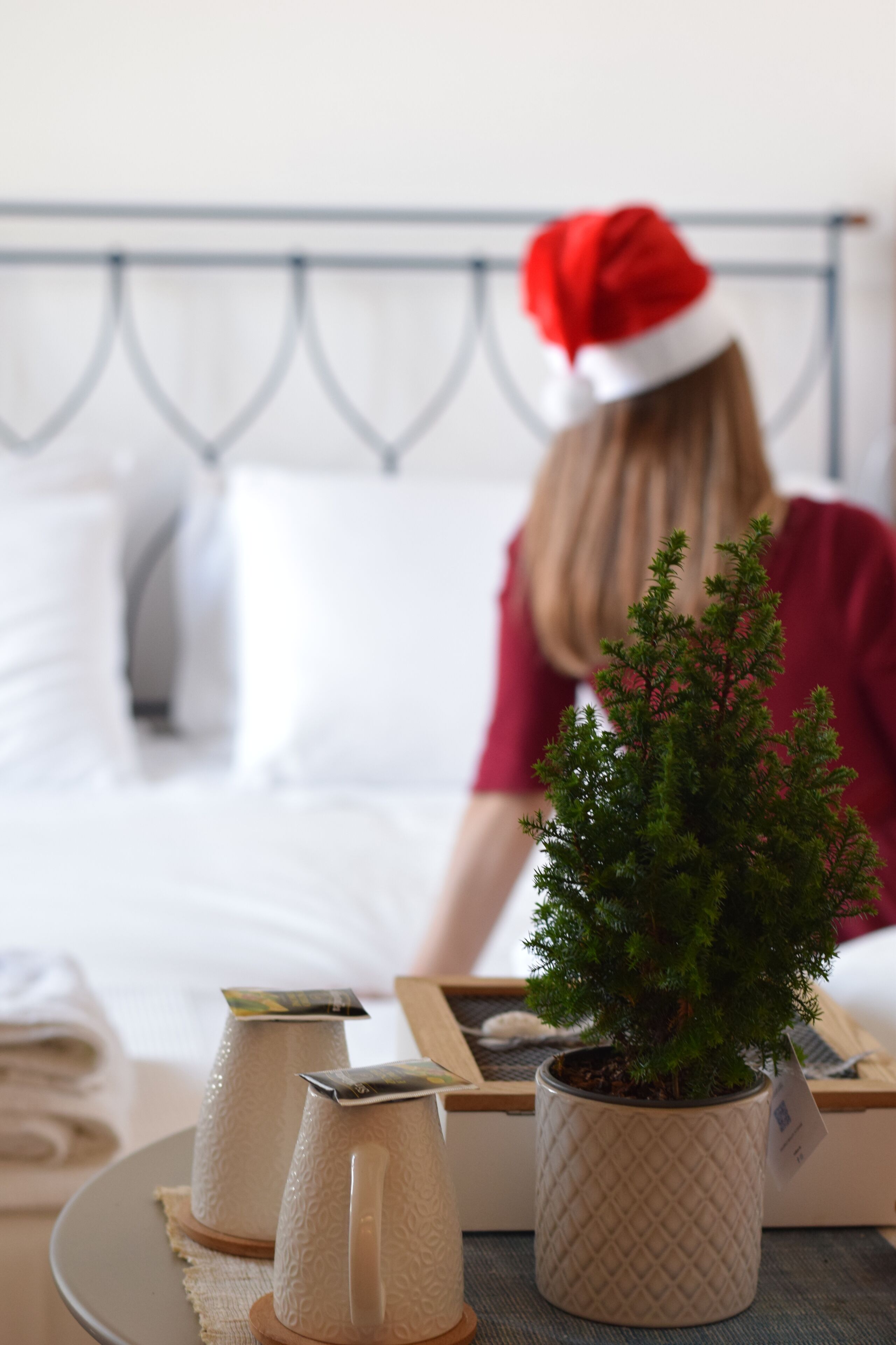A neatly made bed with white linens, a small potted plant, and two ceramic mugs on a bedside table.